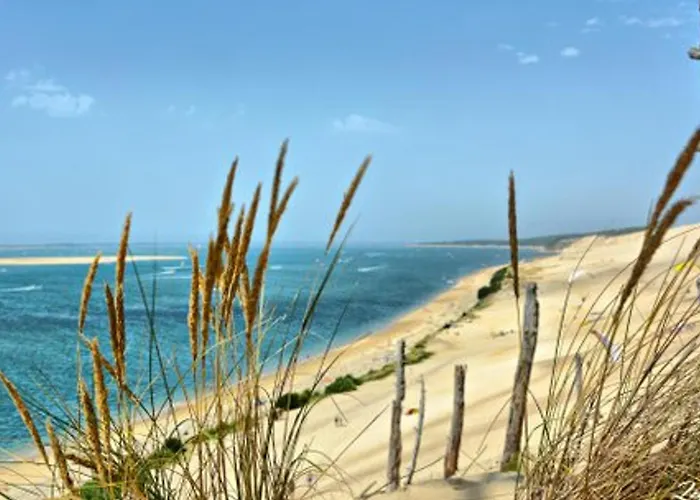 Appartement Lumineux En Centre-Ville D\'Arcachon, Proche Commerces, Balcon, 4 Couchages - Fr-1-474-191